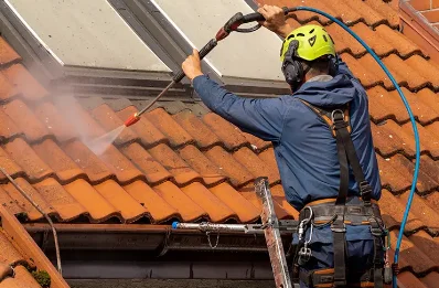 Démoussage et hydrofuge de toiture à Sainte-Trie